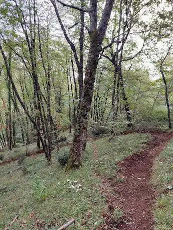 Taburno Bike Trails