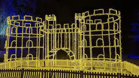 Windsor Great Park Illuminated