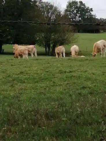 Accès au Véloroute (Wasquehal, Lamartine)