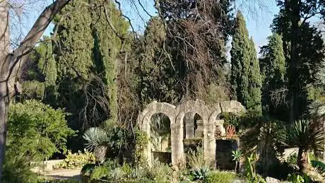 Jardin des plantes de Montpellier