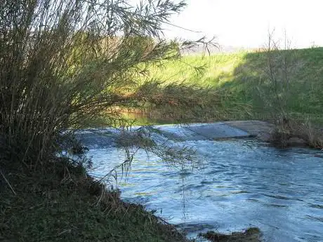 Argini della Nievole