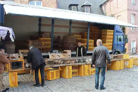 Marche de Plein Vent