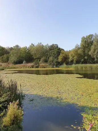 Brackmills Country Park