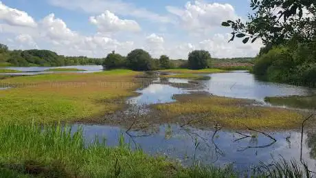 Ramsdale hide