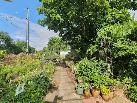 Wimbledon Guild Community Garden