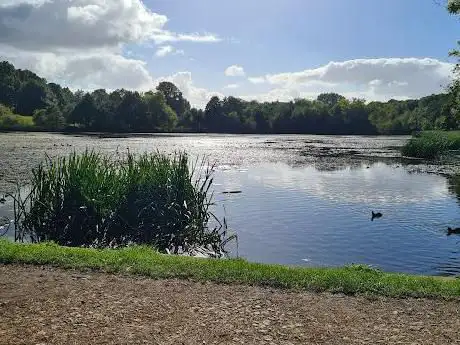 Hardwick Park ( Ponds )