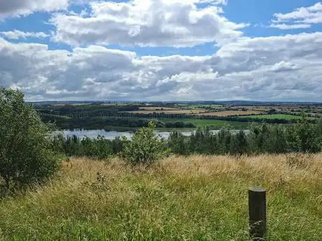 Grimethorpe Nature Reserve