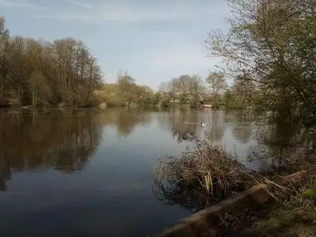 Brownshore Lakes