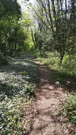 Larkeyvalley Woods Trail