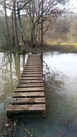 Étang des deux frères Forêt du Poinçonnet