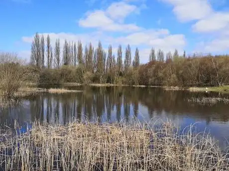 Oily Goughs Local Nature Reserve