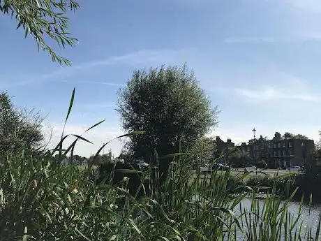 Hare and Billet Pond