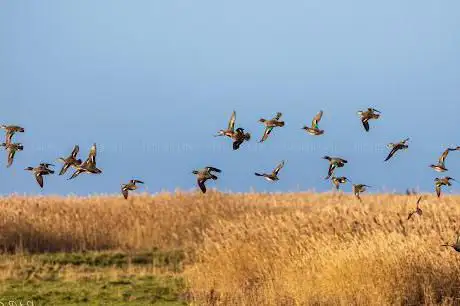 Cley Marshes Visitor Centre