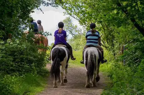 Grove Farm Riding School