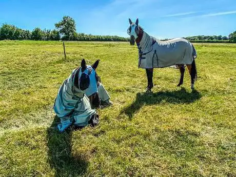 Willicote Equestrian Centre