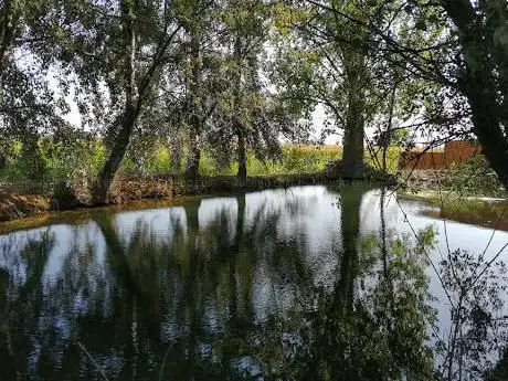 Bassa dels xops de Torres de Sanui