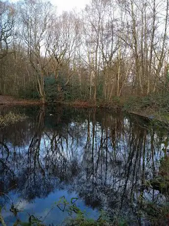 Brownlee's pool