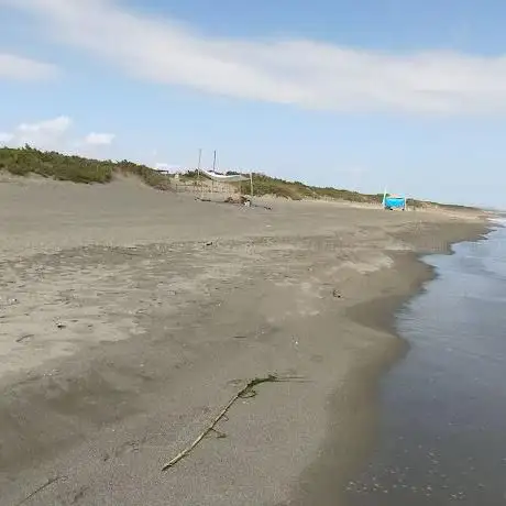 Spiaggia x cani