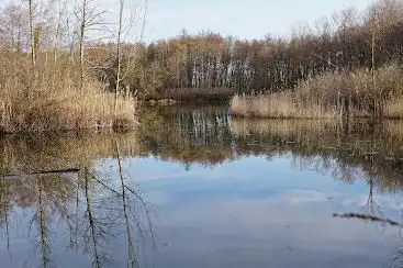 Buffières, méandres du Rhône