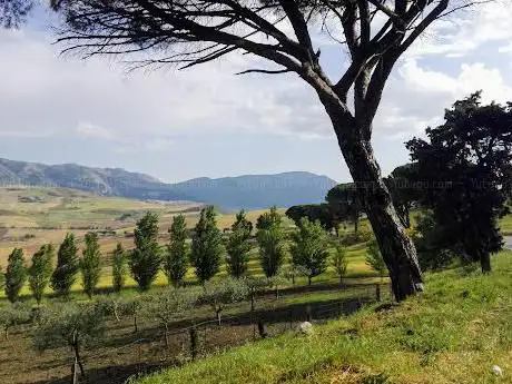 Geological Reserve Contrada Scaleri