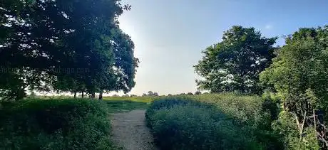 Warren Farm Nature Reserve