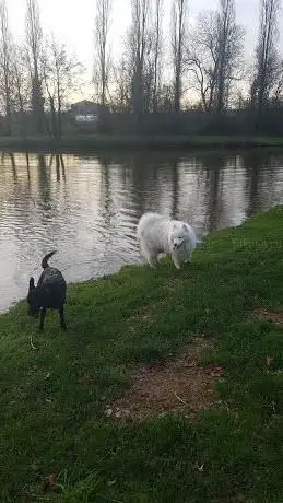 Spot Parc De La Filée