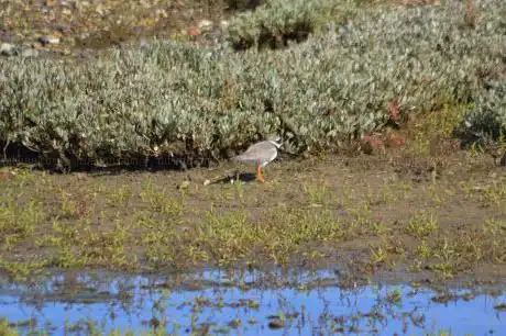 Dorset Wildlife Trust Wild Chesil Centre