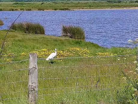 Keyhaven Marshes