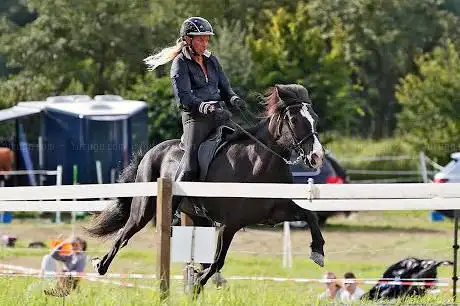 Vera Weber  Reitanlage Birch