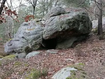 Climb Fontainebleau