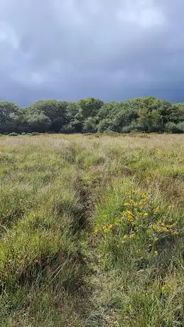 Dunsdon National Nature Reserve  Car Park