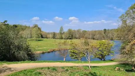 National Trust - Winkworth Arboretum