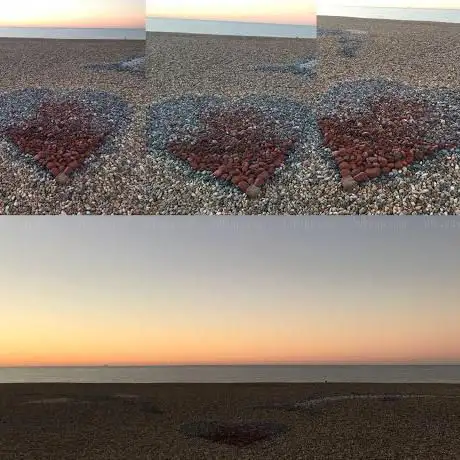 Stone Heart Dolphin & Seagull