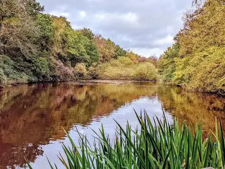 Lords Wood