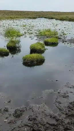 Stonyford Pond