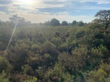 Landes de Sainte-Marie