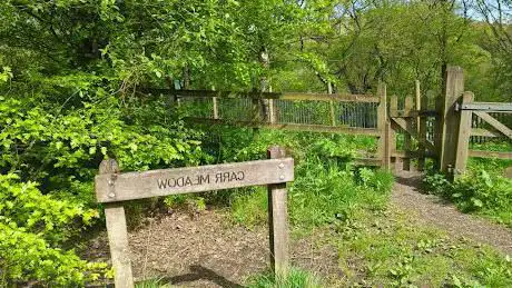 Carr meadow nature reserve