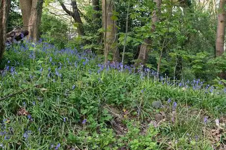 Elmers Clough