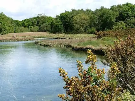 Hamble Common