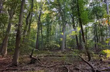 Robert B. Gordon Natural Area for Environmental Studies