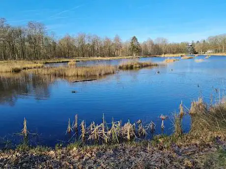 Beverbekerdijk