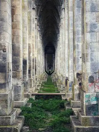 Sous le pont de Tonnay