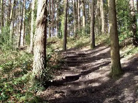 Hickley Wood hillfort