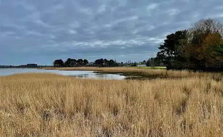 Lychett Bay Viewpoint