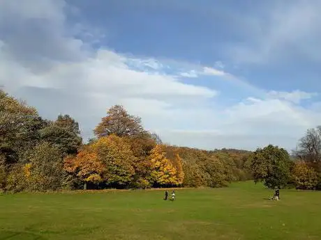 The Centre In The Park