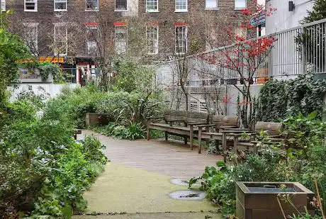 Marchmont Community Garden