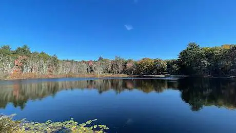 Berry Pond