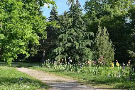 Arboretum Roger de Vilmorin