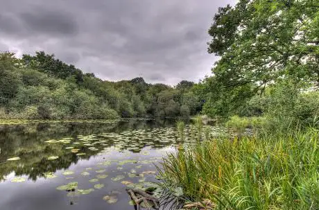 Wake Valley Pond