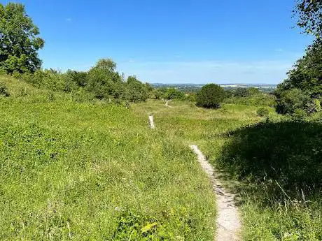 Aston Clinton Ragpits